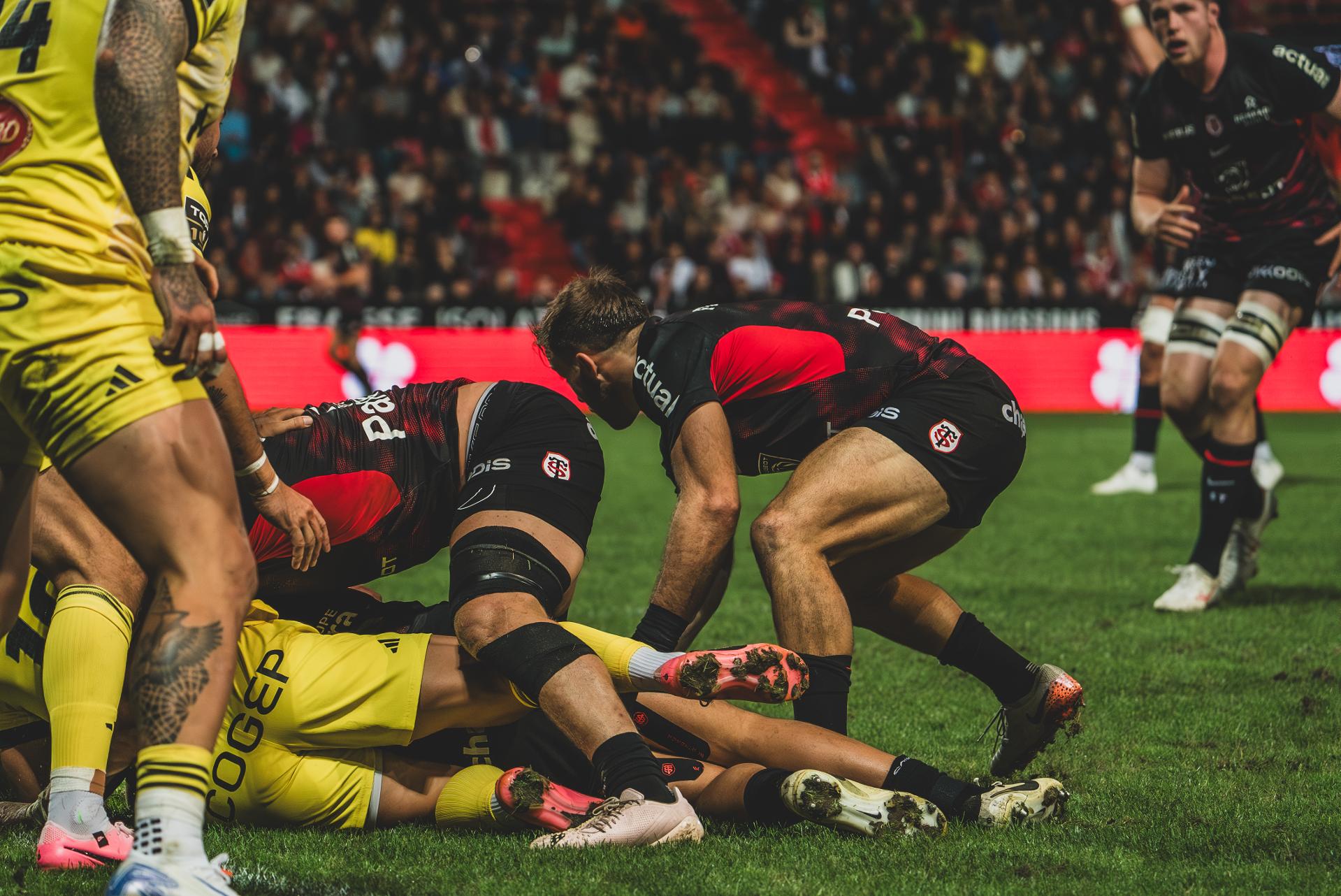 Stade Toulousain - Stade Rochelais 24/25